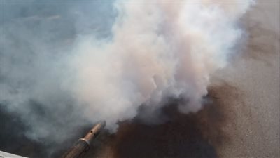 حملات مكثفة لمكافحة ناقلات ومسببات الأمراض بالمنيا 