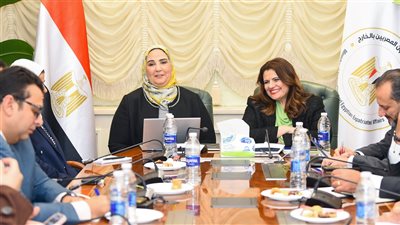 توفير مظلة للحماية الاجتماعية والتأمينية ضد حالات الطوارئ يتصدر اهتمامات المصريين في الخارج