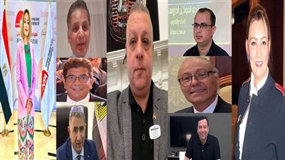 المصريون في الخارج يرفعون شعار 