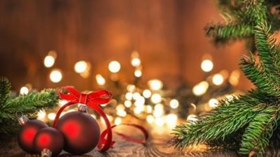 الديك الرومي.. قصة ارتباطه بالكريسماس وارتفاع أسعاره في مصر