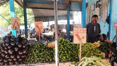 محافظ أسوان: التصدي لأشكال الغش التجاري واحتكار السلع كافة ‏