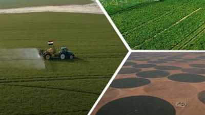 مصر تتوسع في الرقعة الزراعية بأكثر من 3.5 مليون فدان