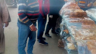 رفع 421 حالة إشغال بطريق دمنهور والدلنجات   