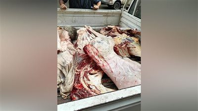 محافظة الجيزة تضبط 5 أطنان لحومًا ودواجن غير صالحة للاستهلاك الآدمي 