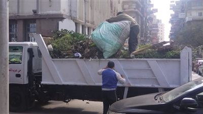 رفع 680 طن قمامة وأتربة من المنطقة المركزية بالدقهلية 