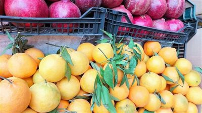 أسعار الخضروات والفاكهة اليوم الإثنين 1 يناير بأسواق الفيوم 