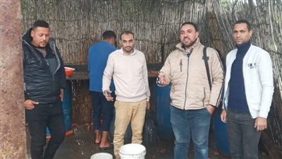 تحرير 110 محاضر مخالفة في حملات على مخابز وأسواق الدقهلية