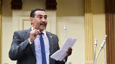 الجبلاوي يشيد بجهود القيادة المصرية المكثفة لوقف إطلاق النار بغزة 