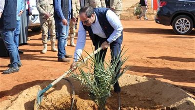 المحاصيل الحقلية: الدولة عززت الأمن الغذائي باستصلاح 4 ملايين فدان بتكلفة تريليون جنيه