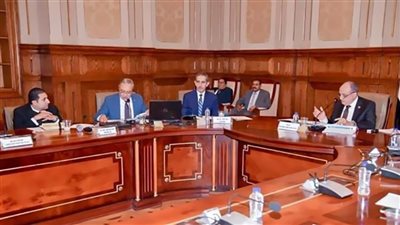 رئيس جامعة طنطا يشارك في اجتماع لجنة 