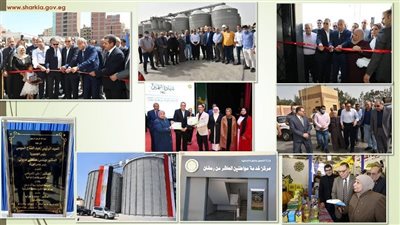 تعرف على حصاد إنجازات مديرية تموين الشرقية خلال 2023 