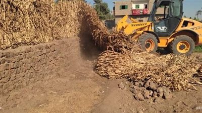 إزالة فورية لحالة تعد على الأراضي الزراعية بقرية أبنود بقنا