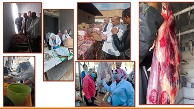 ضبط طن دواجن ولحوم وتحرير 25 محضر مخالفة خلال حملات تفتيشية بالشرقية