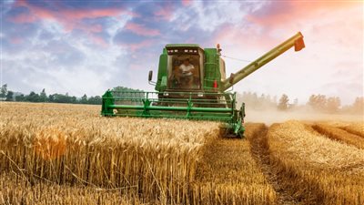استشارى تنمية مستدامة: المجاعة تهدد البشرية والقمح تحول إلى سلاح أمريكى