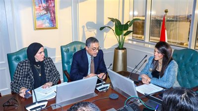 المشاط تبحث مع رئيس هيئة الاستثمار سبل تعزيز التعاون المشترك 