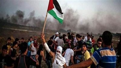 جريمة جديدة.. الاحتلال الإسرائيلي ينبش القبور ويسرق جثث شهداء غزة 
