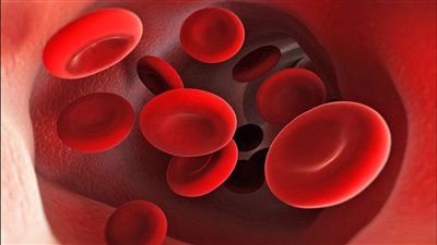 تعرف على أسباب نقص الحديد في الجسم