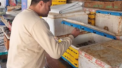 إعدام 1378 كجم أغذية غير صالحة للأستهلاك الآدمي بدمياط 