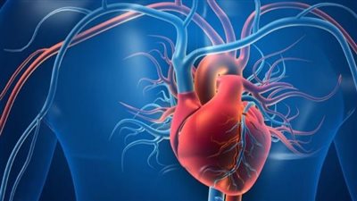 تحتوي على أوميجا 3.. منتجات تحمي من تصلب الشرايين