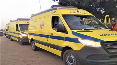 مصرع وإصابة 8 أشخاص إثر حادث انقلاب سيارة ربع نقل