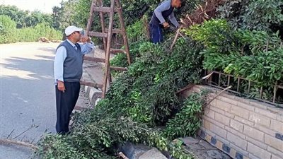  رفع 700 طن قمامة وأتربة بالمنطقة المركزية بالدقهلية