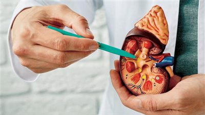 3 طرق طبيعية تساعدك على تجنب حصوات المرارة