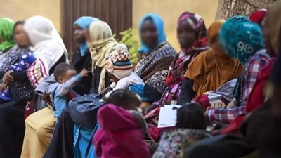 مجلس حقوق الإنسان: مصر لا تتلقى دعمًا دوليًا يتناسب مع عدد اللاجئين