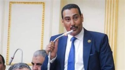 برلماني: حديث الرئيس الفلسطيني تأكيد على دور مصر الرائد  في دعم قضية فلسطين