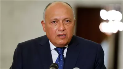 وزير الخارجية: المجتمع الدولي يعجز عن المطالبة بوقف إطلاق النار في غزة