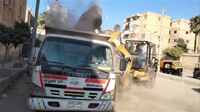  رفع 1000 طن قمامة من شوارع كفر الشيخ