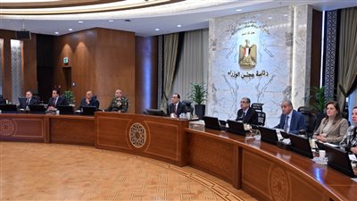 مدبولى: حرص كبير من الرئيس على مواصلة التنسيق الكامل للعمل على الوصول لحلول للأزمة في غزة