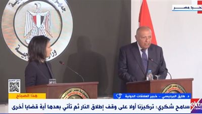 خبير علاقات دولية: إيقاف العدوان الإسرائيلي على فلسطين واجب مجتمعي