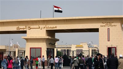 أستاذ علاقات دولية: 80% من المساعدات التي دخلت إلى غزة قدمتها مصر