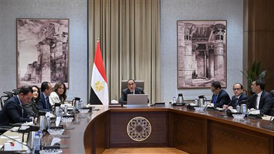 مدبولي يبحث مع ميرسك العالمية تعزيز التعاون والتطورات في البحر الأحمر 