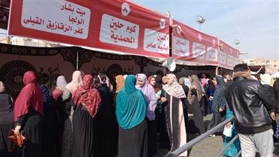 تعرف على جهود وحدات تكافؤ الفرص بمحافظة الشرقية