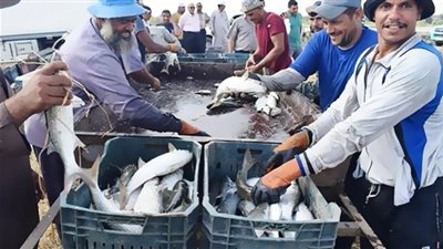 معمل بحوث الثروة السمكية بالعباسة .. «طفرة جديدة فى الاستزراع السمكي»