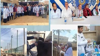 بيطرى الشرقية يُنظم قافلة علاجية مجانية بقرية كفر عياد 