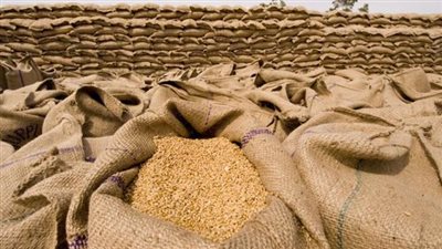 ارتفاع سعر طن القمح اليوم الجمعة بالأسواق.. تصل لـ1200 جنيه