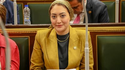 النائبة أسماء الجمال: إقحام إسرائيل اسم مصر أمام العدل الدولية جريمة جديدة للكيان الصهيوني