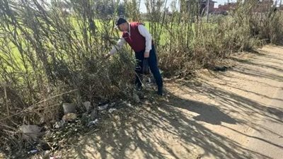 بدء انطلاق حملة صيانة وتحزيم زراعات القمح بالبحيرة