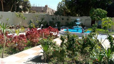 معسكرات طلابية لتشجير وتجميل المدارس بتعليم قوص