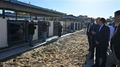 رئيس الوزراء يتفقد مزرعة شركة 