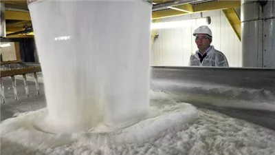 تفاصيل توقف مصانع أبو قرقاص عن إنتاج السكر (فيديو)