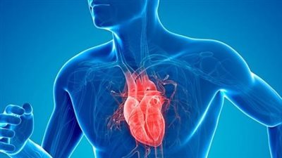 30 دقيقة من اللياقة البدنية كافية لتغيير أنسجة القلب