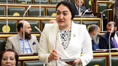 النائبة أسماء الجمال: مصر دعمت فلسطين بكل ما تملك خلال 100 يوم عدوان إسرائيلي
