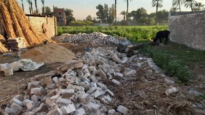 إزالة فورية لحالتى تعدى بقرية دندرة بقنا