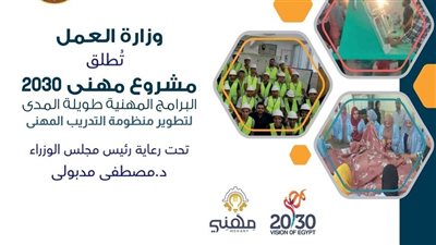 انفوجراف.. المحاور والأهداف والأسباب لإطلاق مشروع 