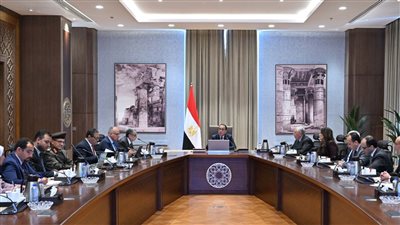 مدبولي: التوافق على مخطط تنموي لتنفيذ تكليفات القيادة السياسية بتحقيق التنمية الشاملة 