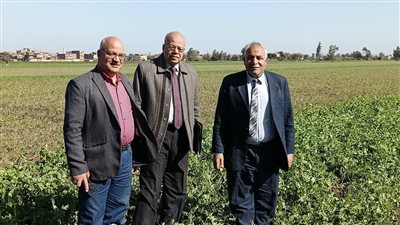 وكيل زراعة الغربية يشهد القافلة الإرشادية للمحاصيل الشتوية بكفر الزيات 