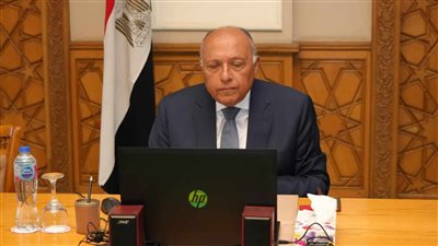 وزير الخارجية يؤكد دعم مصر للصومال.. ويحذر من تصرفات إثيوبيا